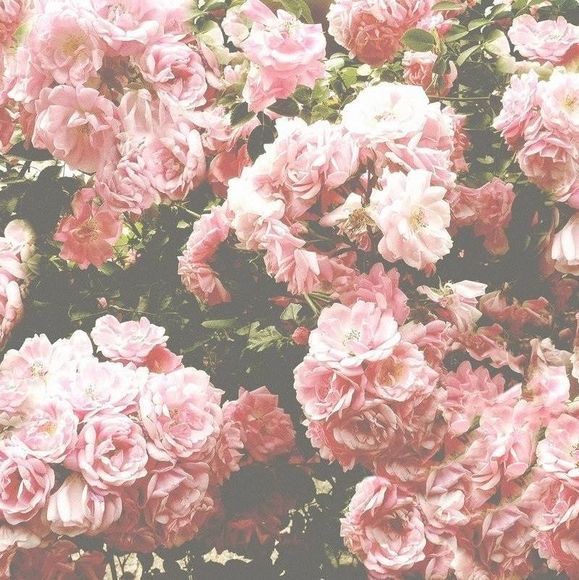 Meet your Posher, Jacob - Picture 1 of 1